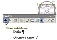 Fattura professionale, 4