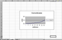 Diario gravidanza, 11