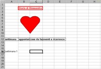 Diario gravidanza, 4