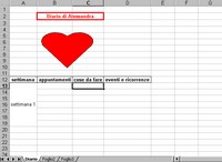 Diario gravidanza, 5