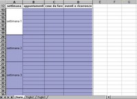 Diario gravidanza, 6