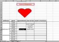 Diario gravidanza, 9