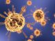 Malware Coronavirus Covid-19